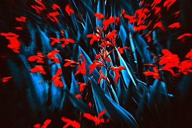 《自杀小队：消灭正义联盟》第三赛季下周启动 新角色味儿太冲了