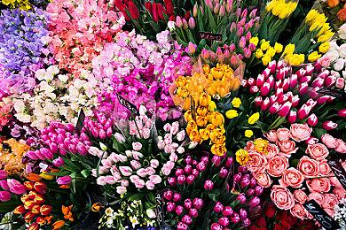 《匹诺曹的谎言》更新圣诞节奖励 Mac版正在准备中